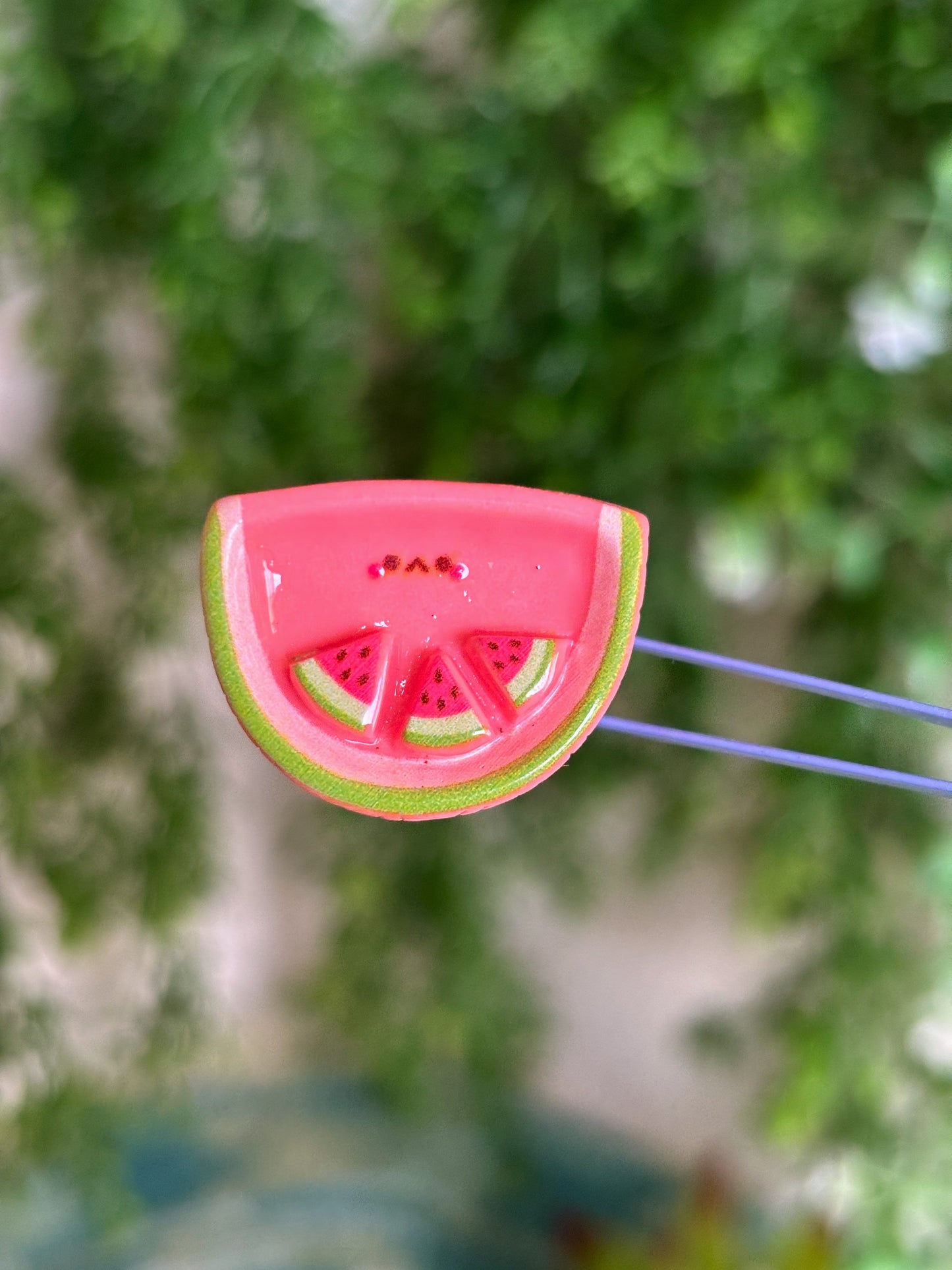 Watermelon Magnet