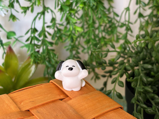 Snoopy Surprise Mystery Box