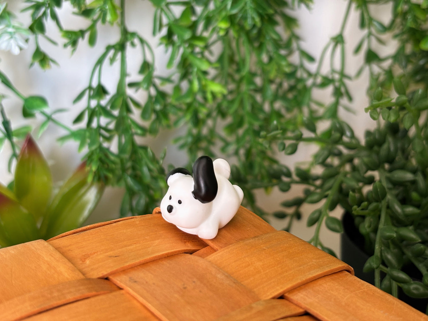 Snoopy Surprise Mystery Box