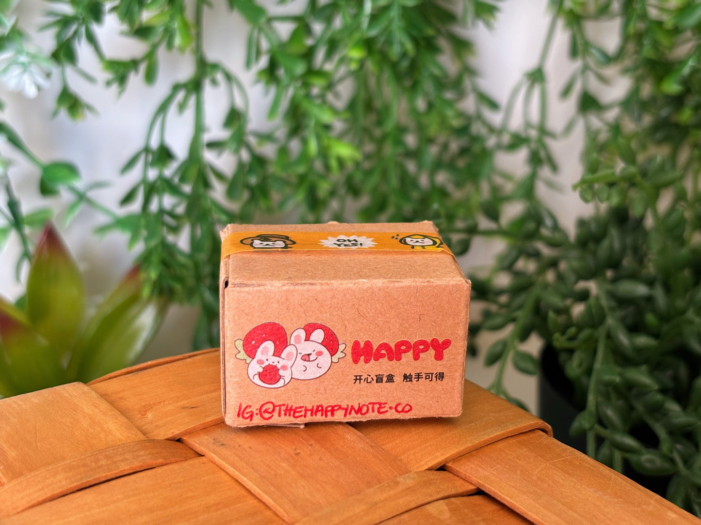 Snoopy Surprise Mystery Box