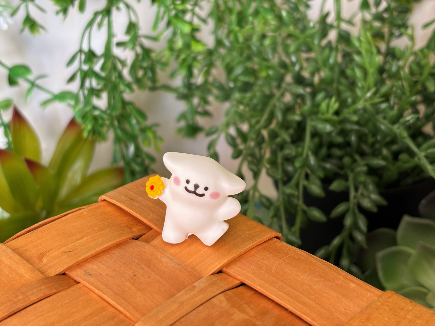 Maltese Surprise Mystery Box