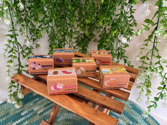 Snoopy Surprise Mystery Box