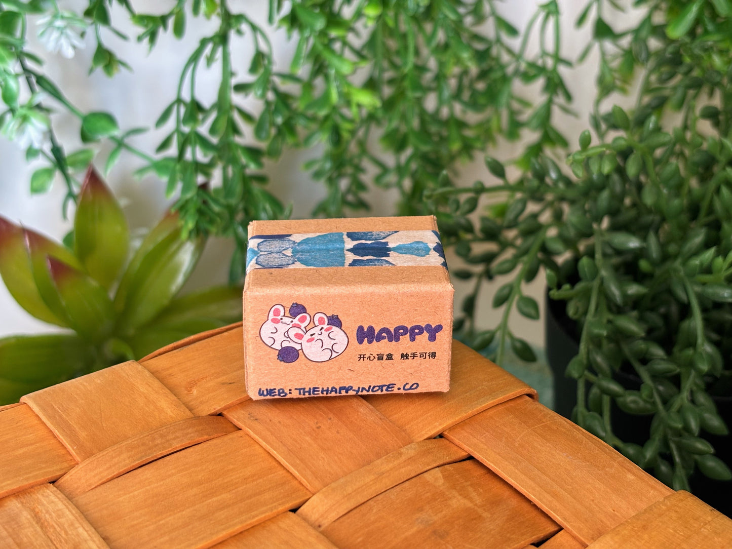 Snoopy Surprise Mystery Box