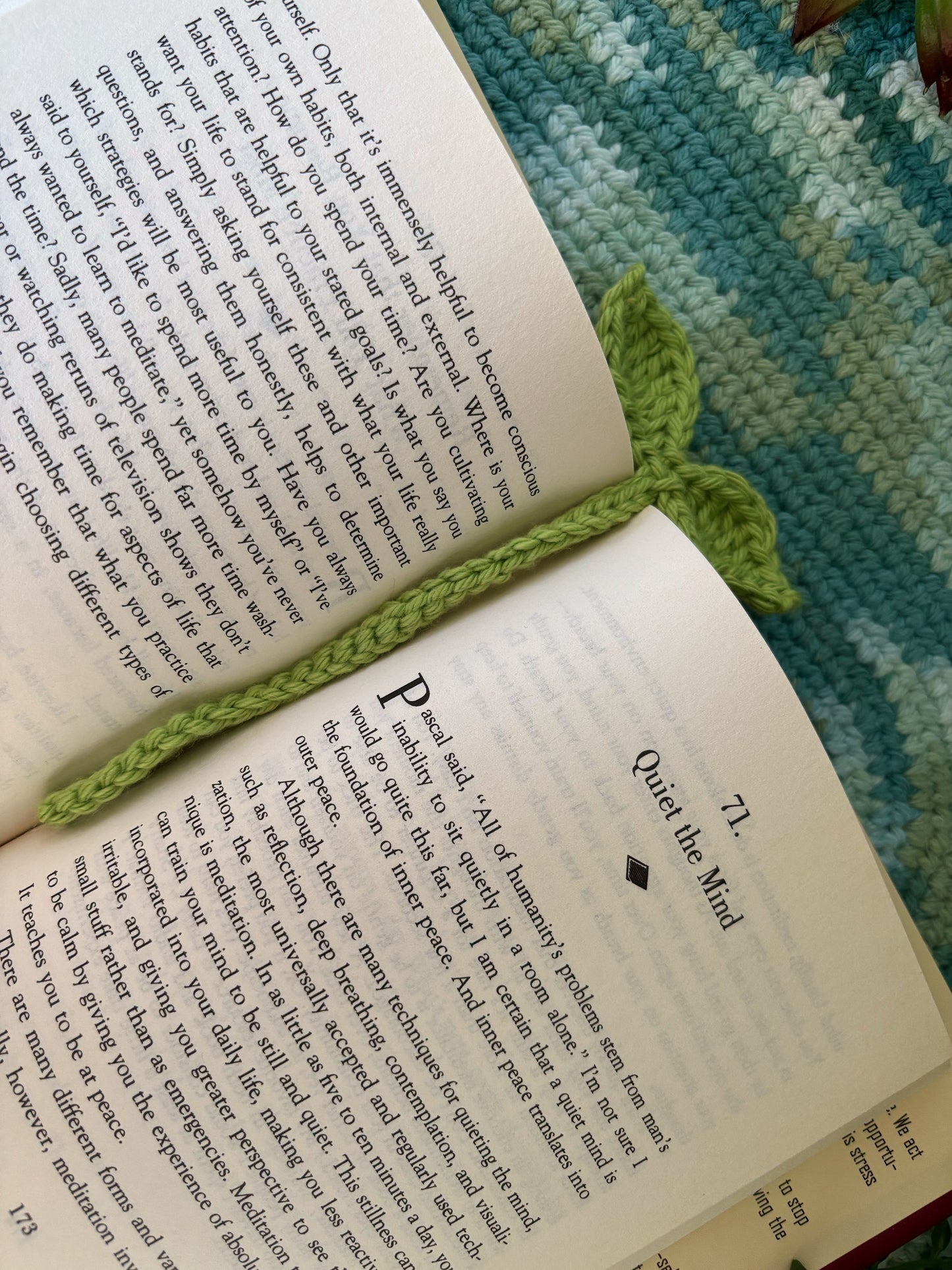 Crochet Sprout - Multi-functional