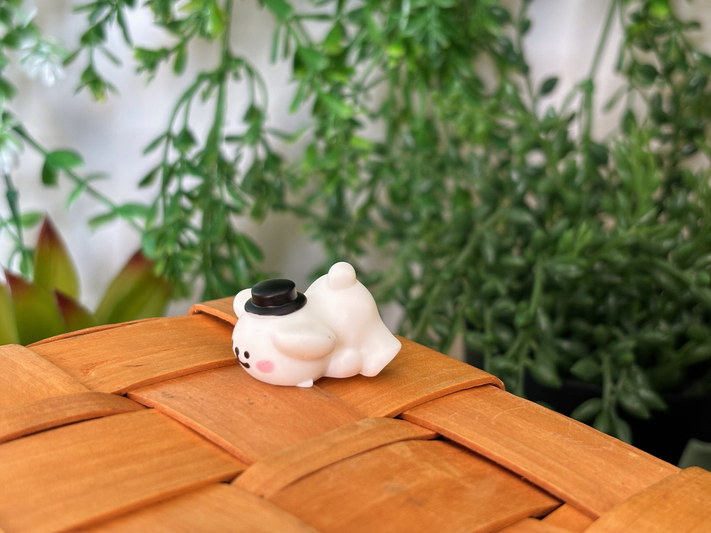 Maltese Surprise Mystery Box