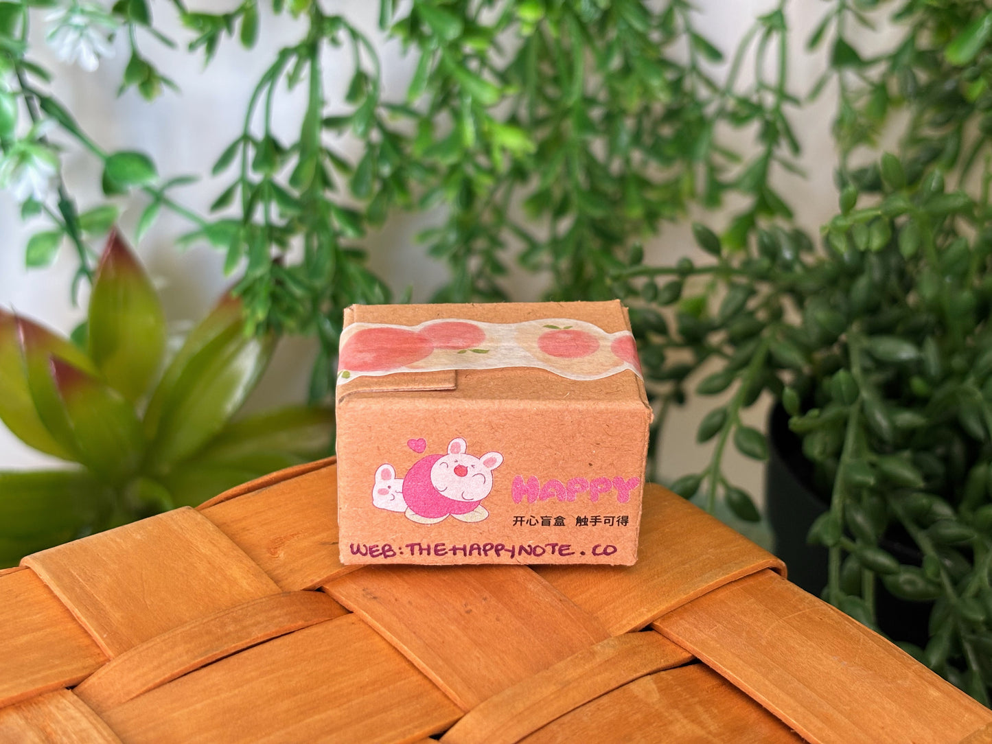 Snoopy Surprise Mystery Box