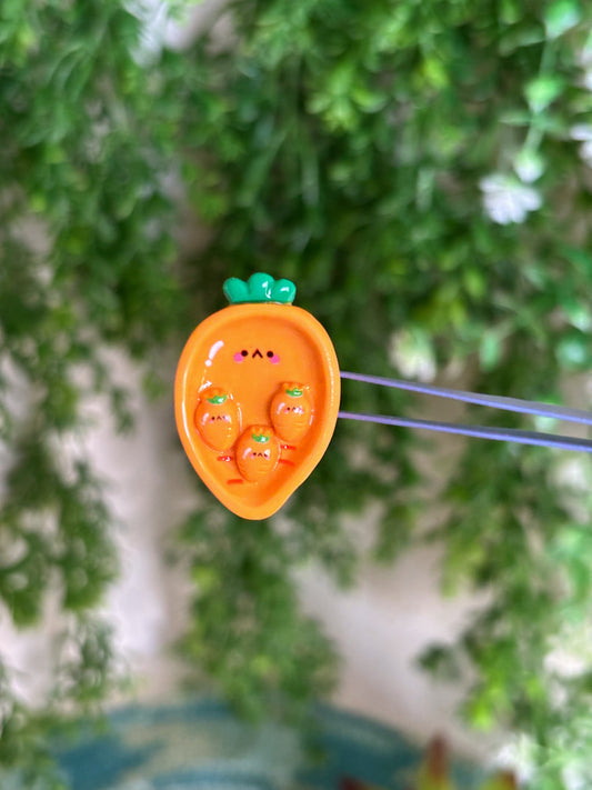 Carrot Magnet