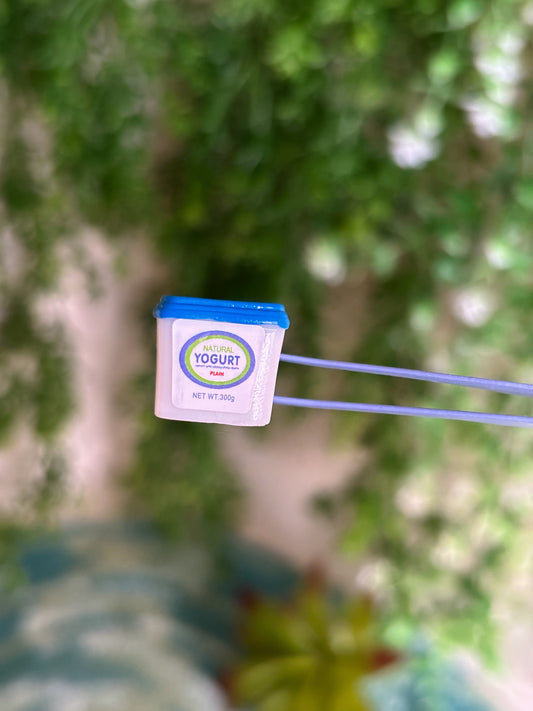 Yogurt Magnet