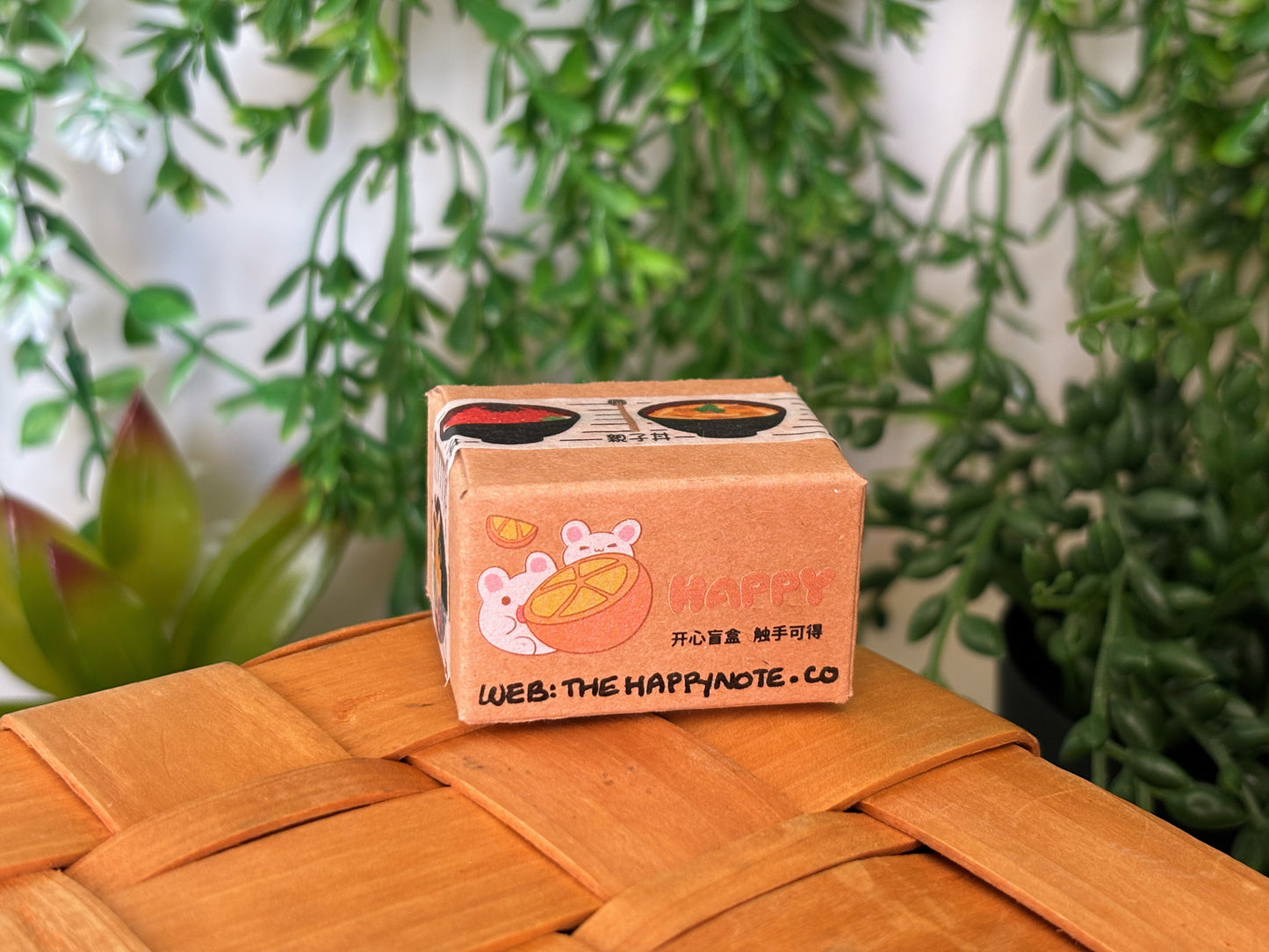 Snoopy Surprise Mystery Box