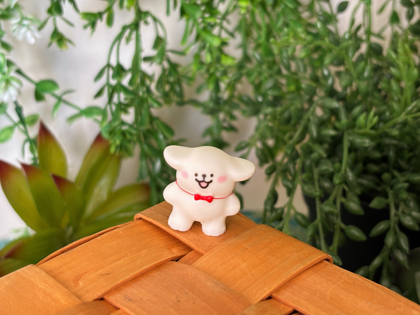 Maltese Surprise Mystery Box