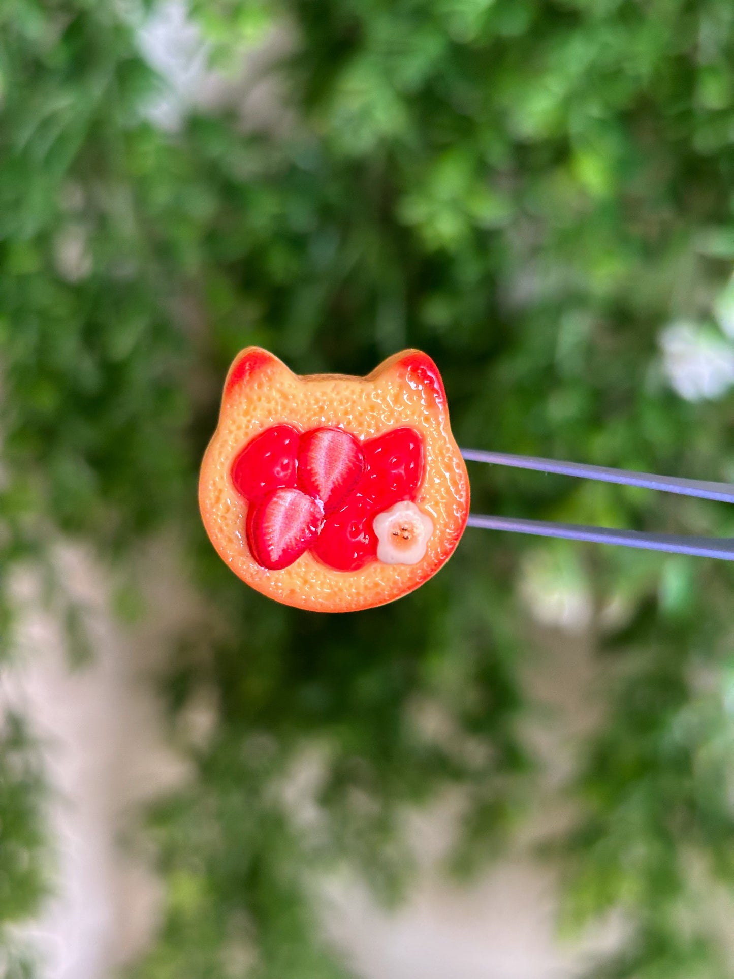 Cat Strawberries Magnet