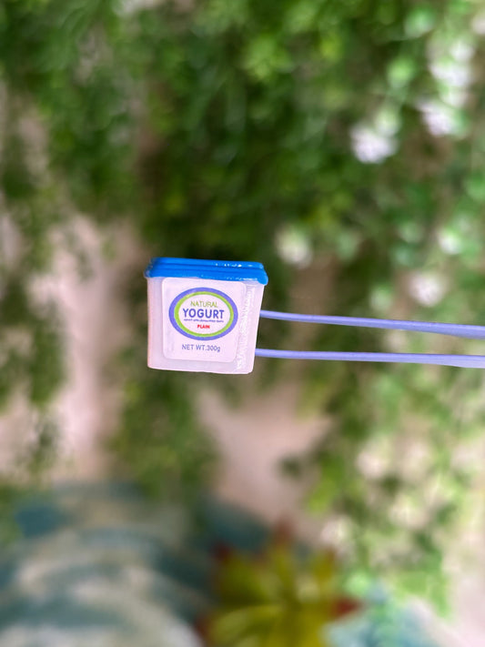 Yogurt Magnet