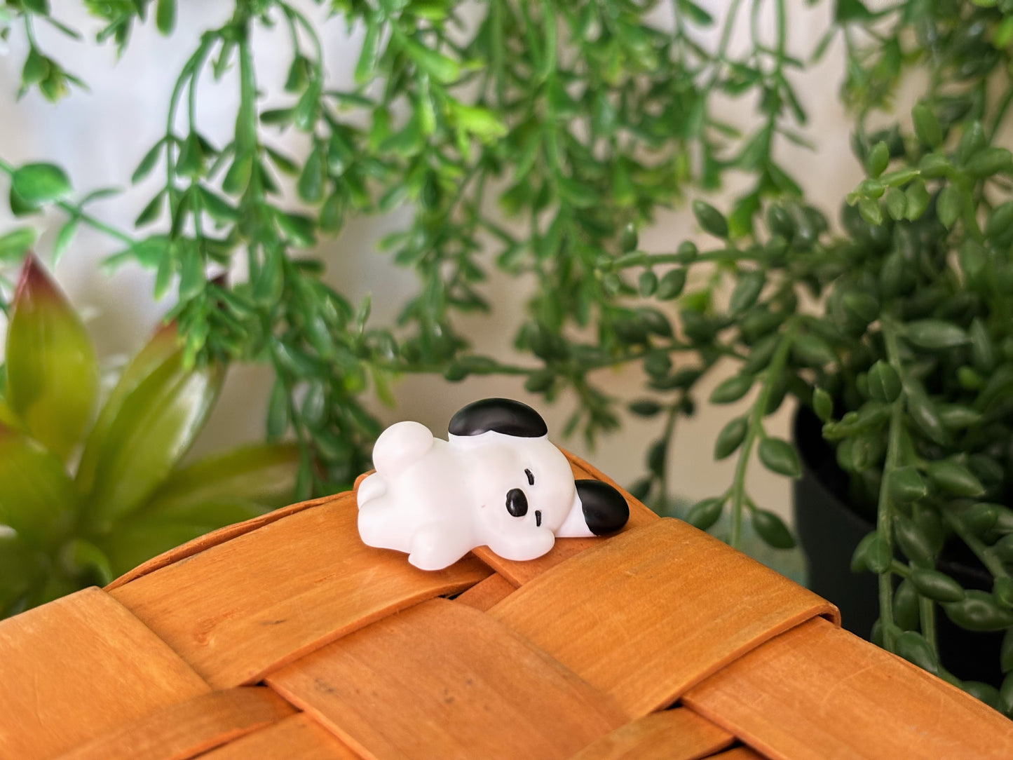 Snoopy Surprise Mystery Box