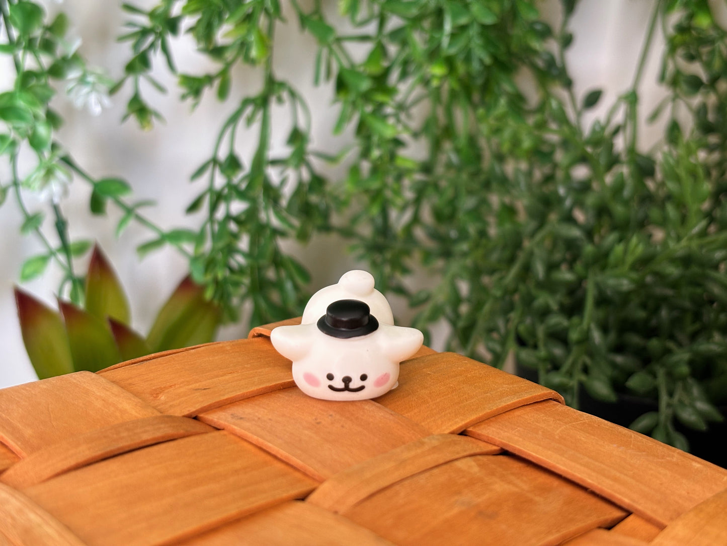 Maltese Surprise Mystery Box