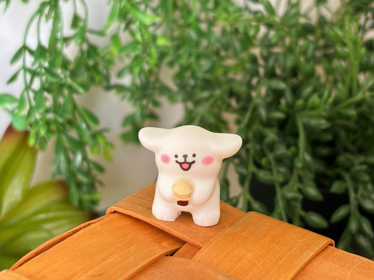 Maltese Surprise Mystery Box