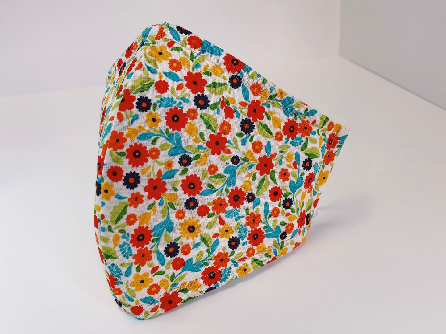 秋季系列 1：口罩