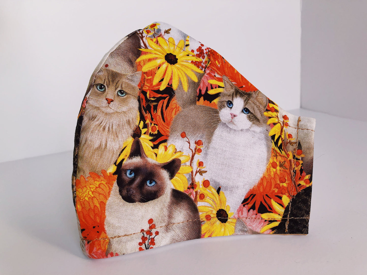 猫狗大战 1：口罩