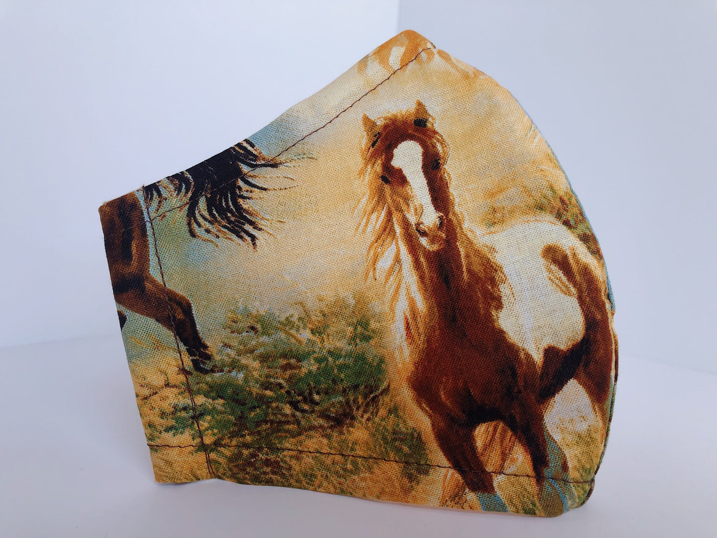 动物系列 2：口罩