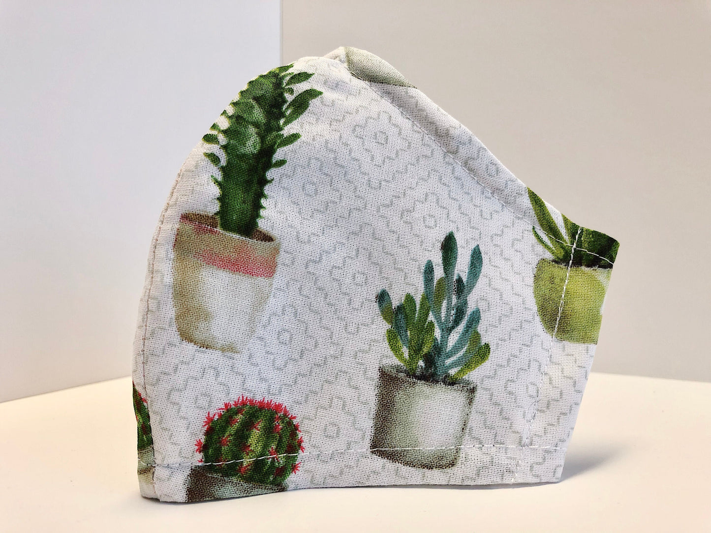 Cactus Collection: Face Masks