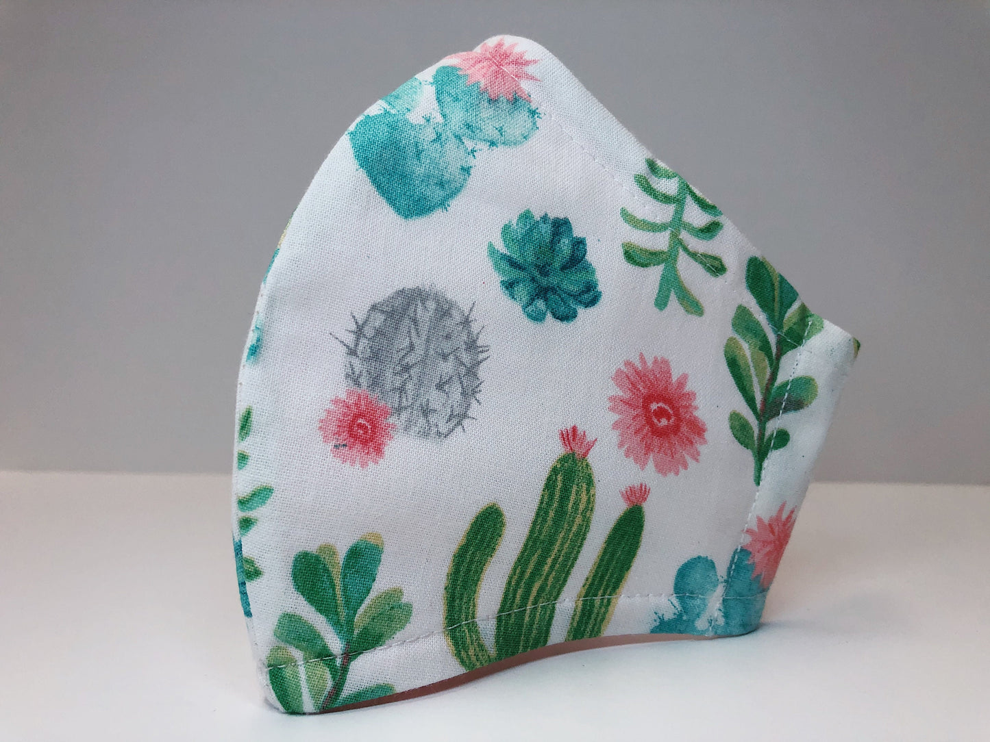 Cactus Collection: Face Masks